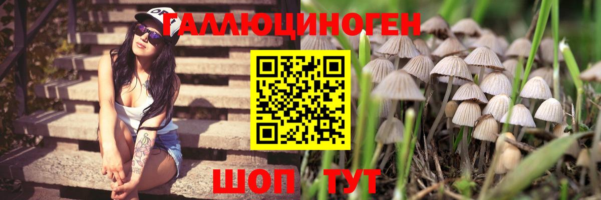 Псилоцибиновые грибы ЛСД Уссурийск